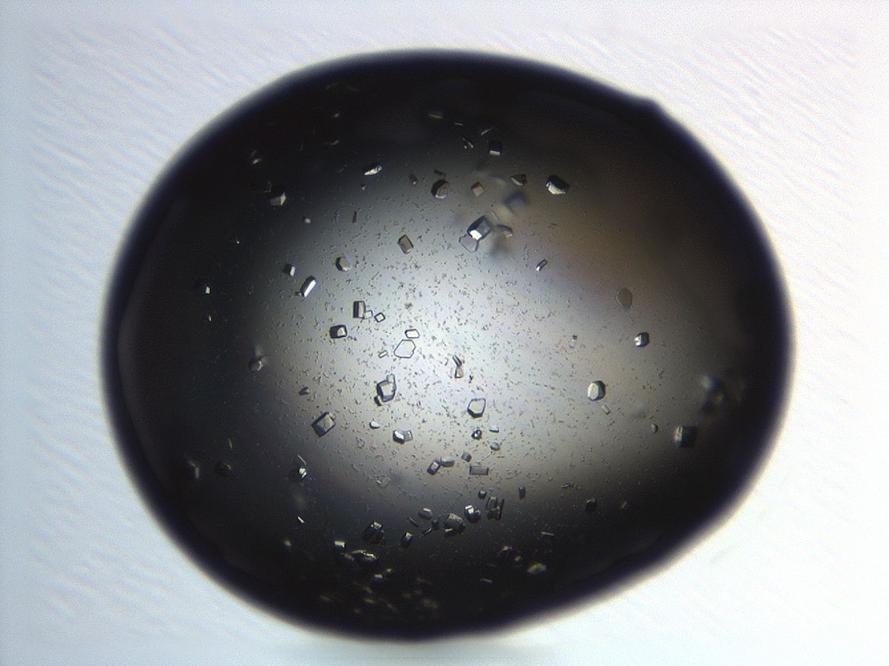 04em_H5_ImagerDefaults_8.jpg