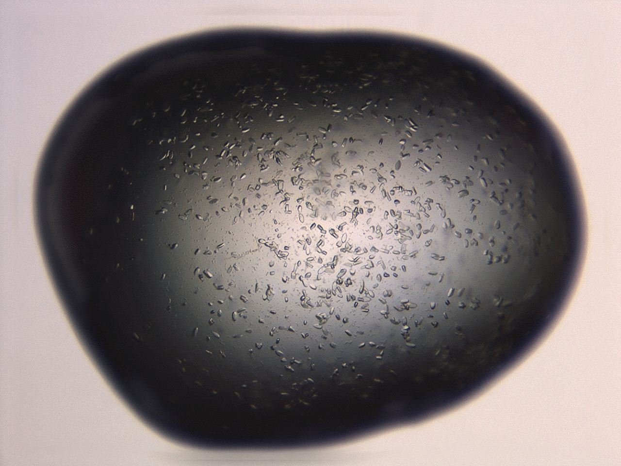 04em_H6_ImagerDefaults_8.jpg