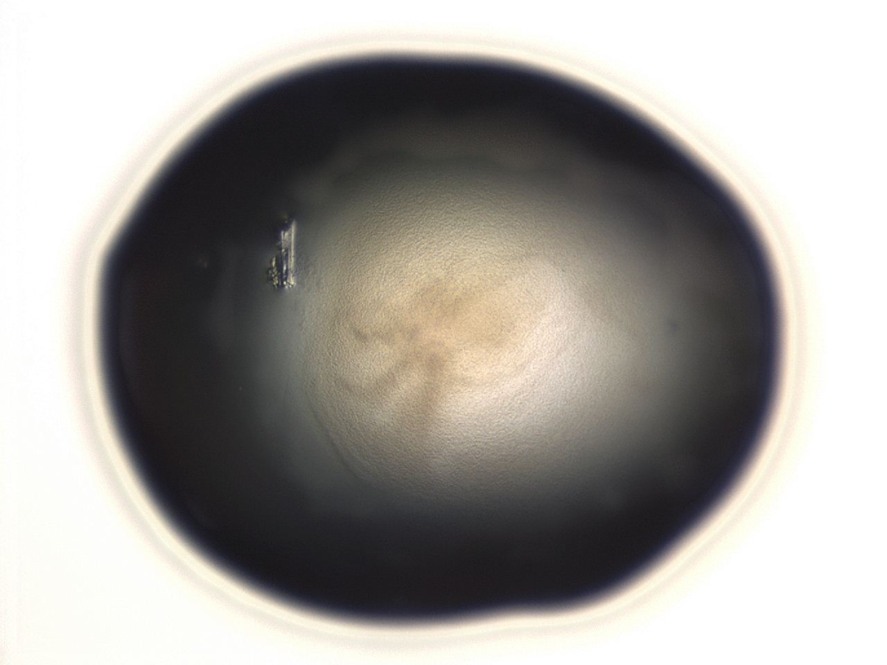 04em_H10_ImagerDefaults_3.jpg