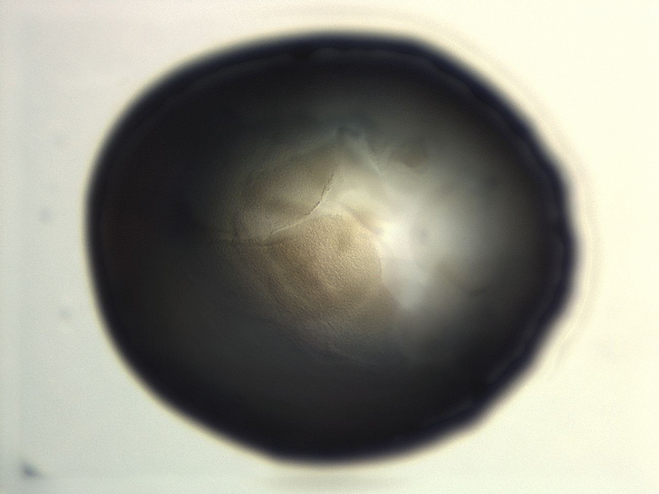 04em_H11_ImagerDefaults_3.jpg