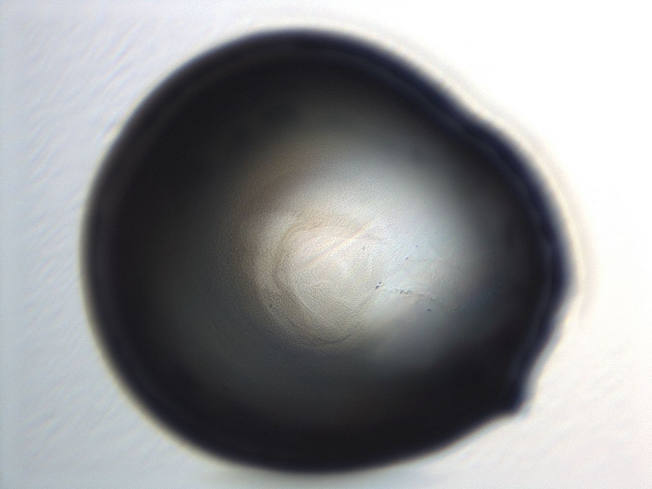 04em_H12_ImagerDefaults_3.jpg