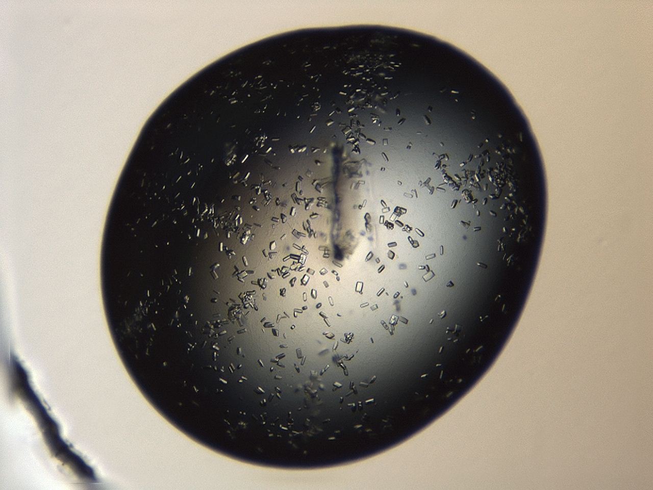 04en_A1_ImagerDefaults_8.jpg