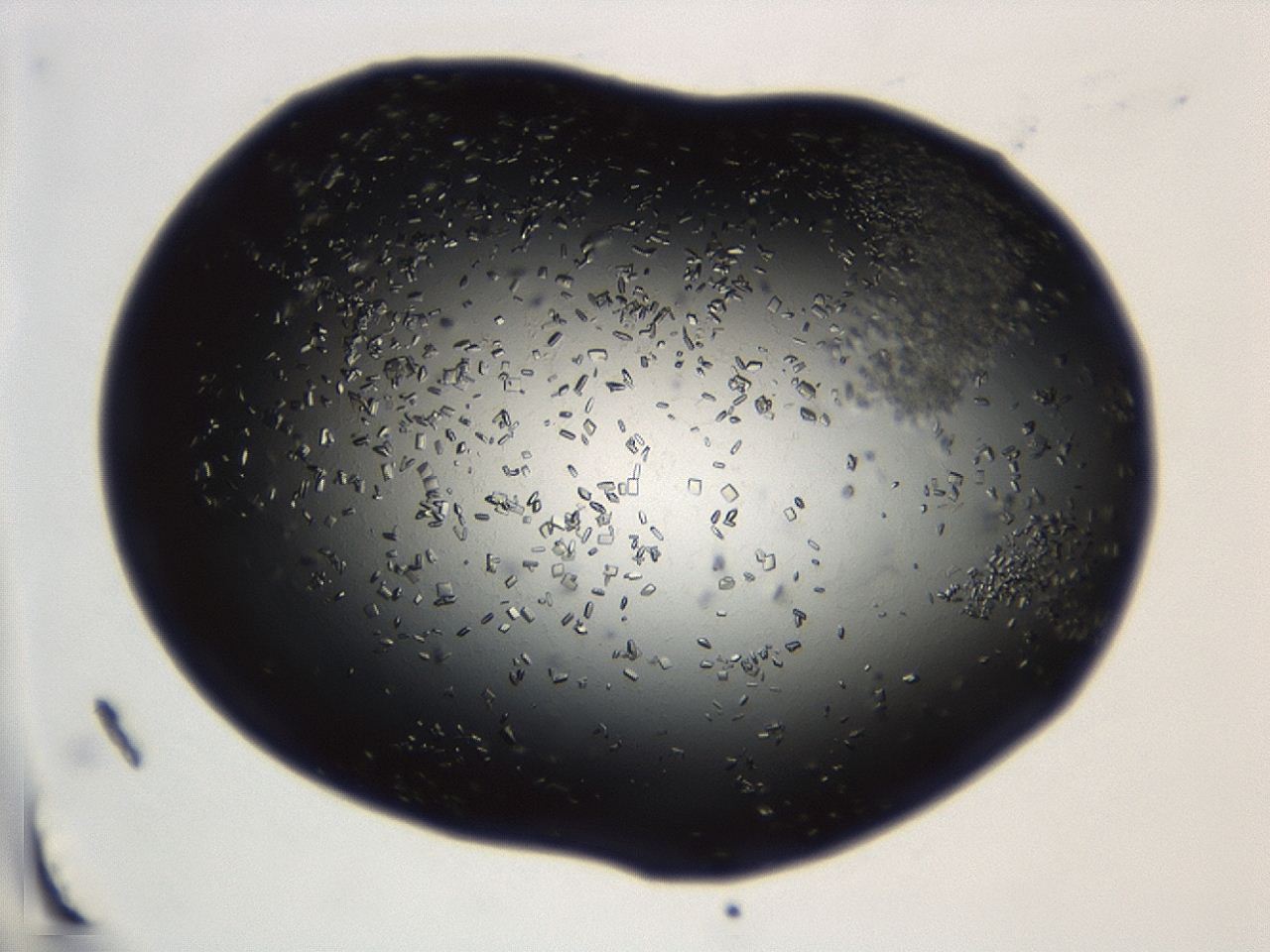 04en_A3_ImagerDefaults_8.jpg