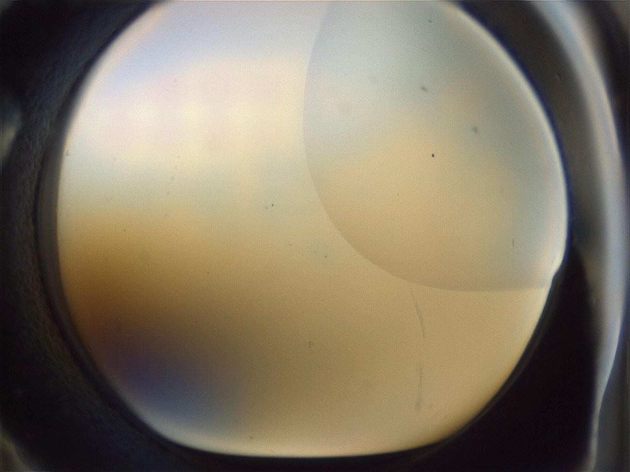 folderID959_plateID1959_batchID8608_wellNum71_profileID1_d1_r132706_ef.jpg