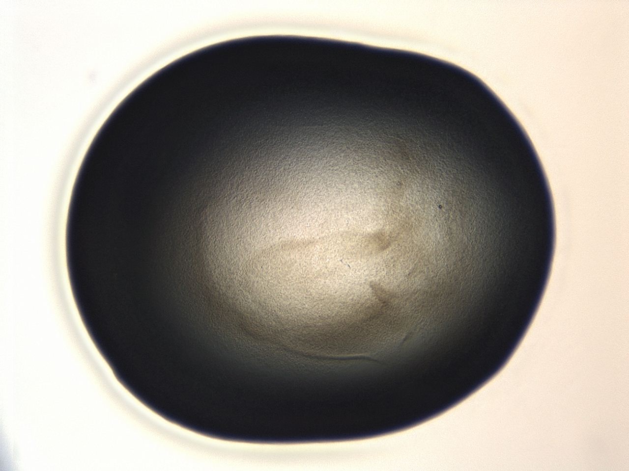 04en_A4_ImagerDefaults_3.jpg