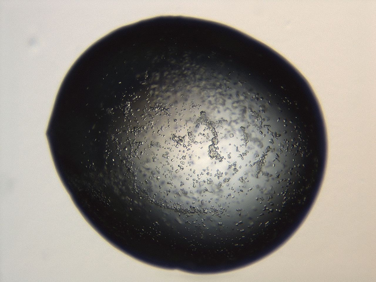 04en_A8_ImagerDefaults_8.jpg