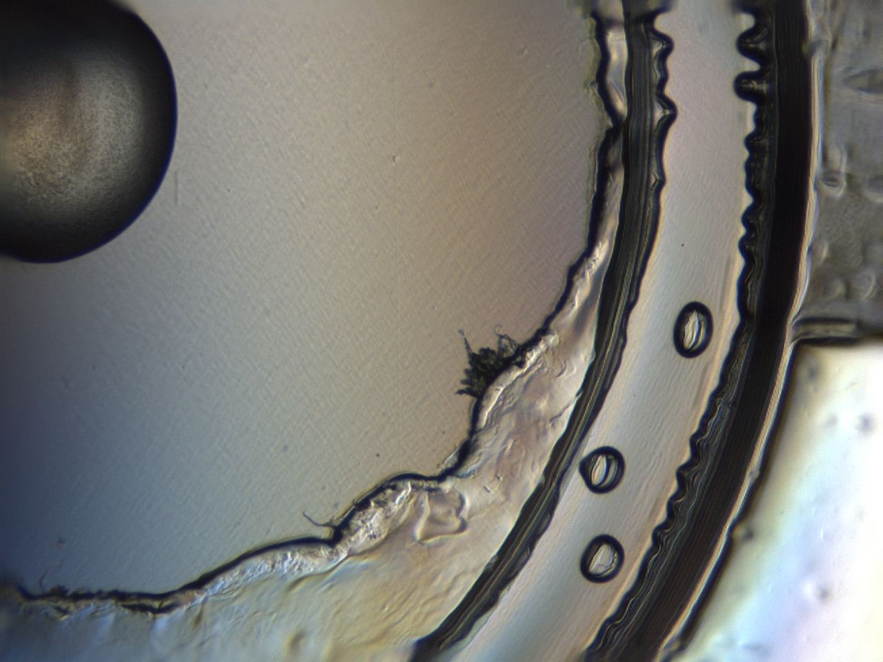 04en_A9_ImagerDefaults_3.jpg