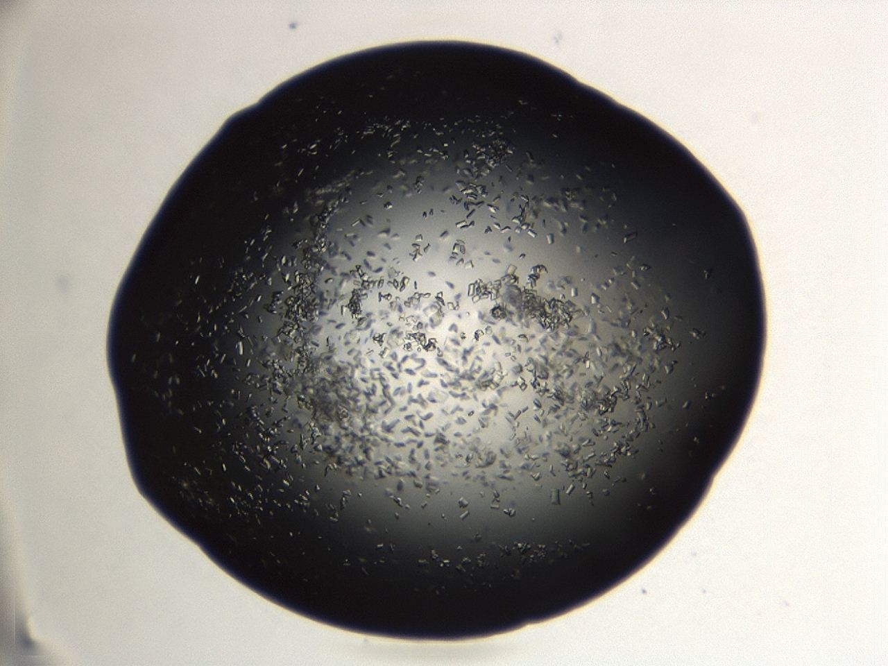 04en_A11_ImagerDefaults_8.jpg
