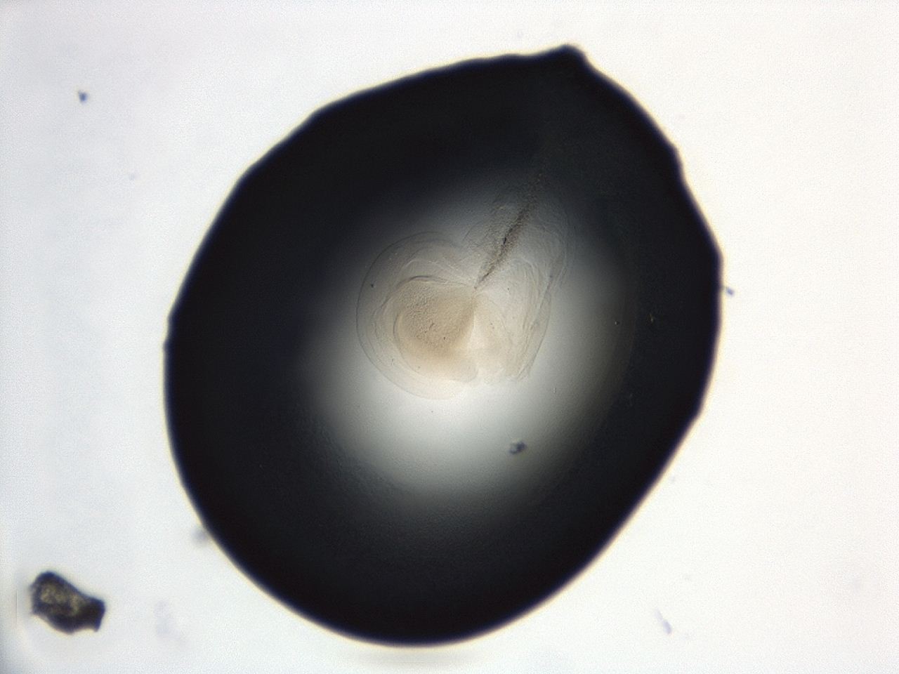 04en_A12_ImagerDefaults_3.jpg