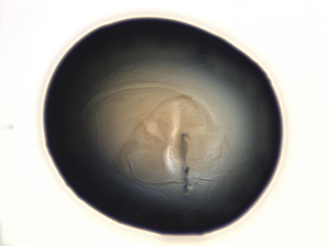 04en_B1_ImagerDefaults_3.jpg