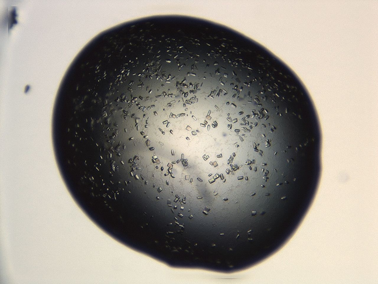 04en_B2_ImagerDefaults_8.jpg