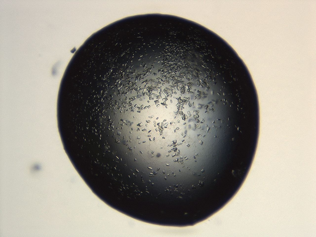 04en_B3_ImagerDefaults_8.jpg