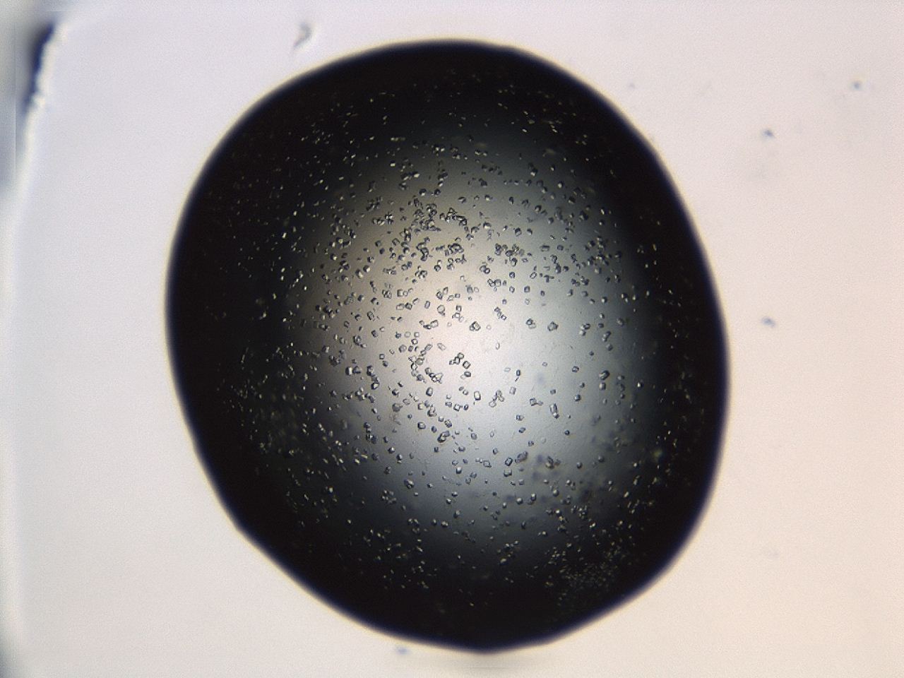04en_B5_ImagerDefaults_8.jpg