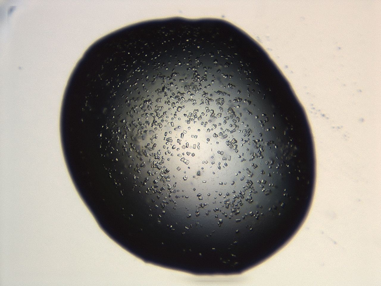 04en_B6_ImagerDefaults_8.jpg