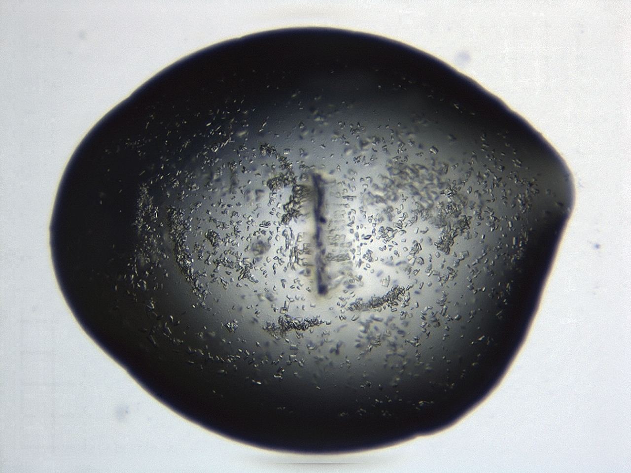 04en_B7_ImagerDefaults_8.jpg