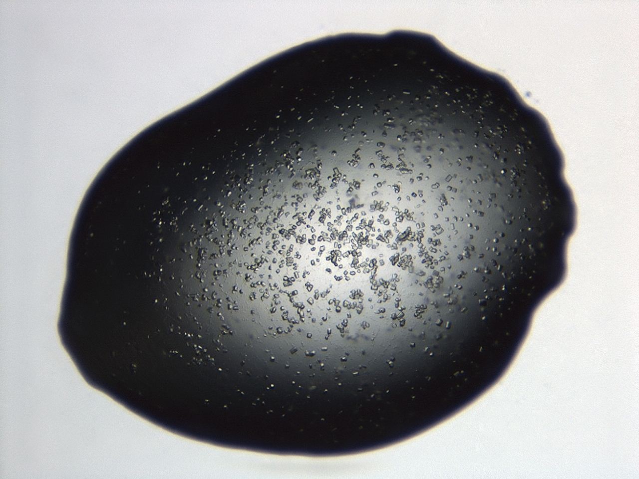 04en_B8_ImagerDefaults_8.jpg