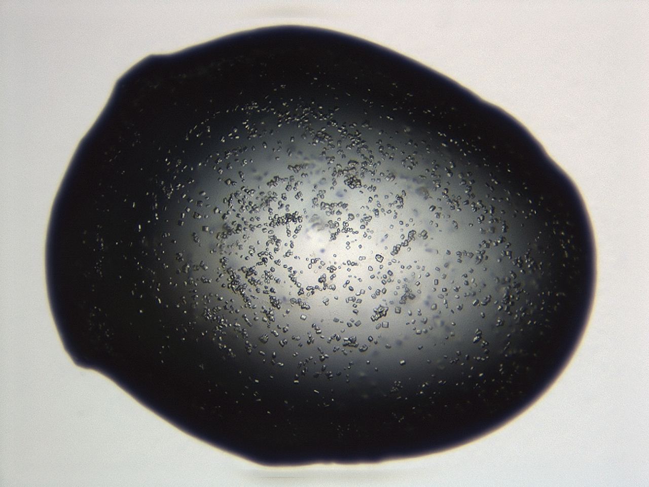 04en_B10_ImagerDefaults_8.jpg