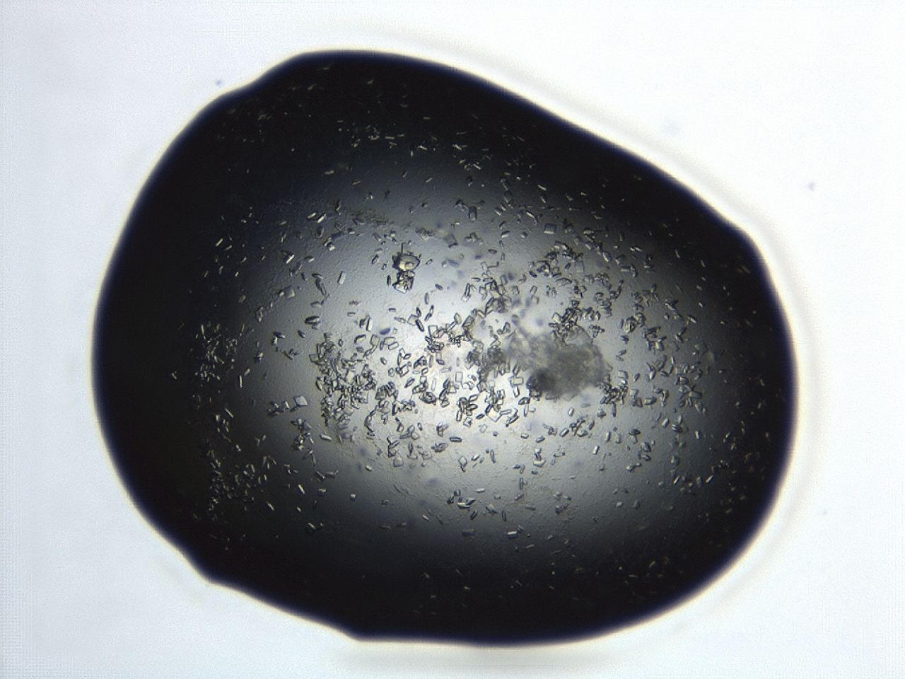 04en_B11_ImagerDefaults_8.jpg