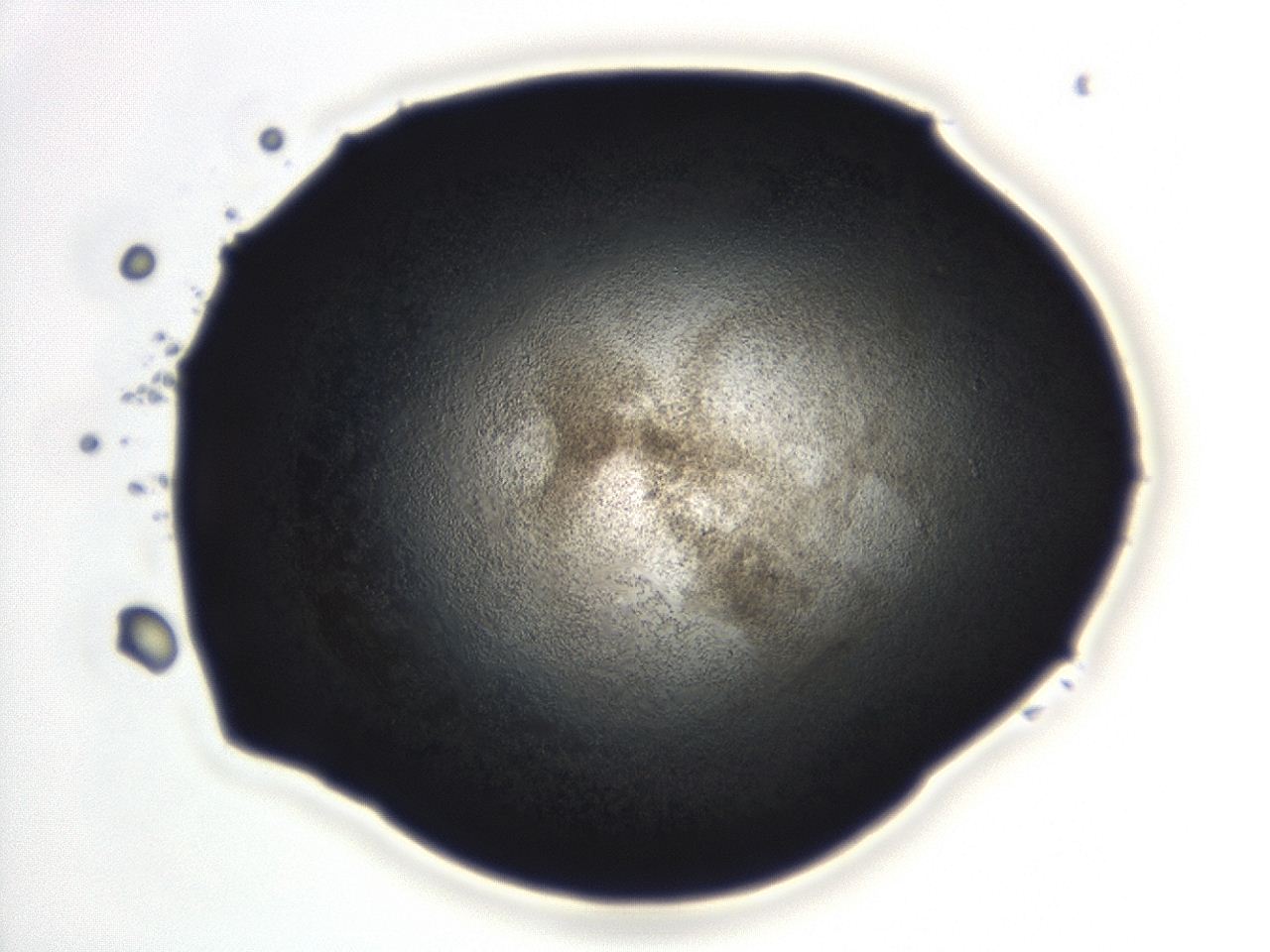 04en_B12_ImagerDefaults_3.jpg