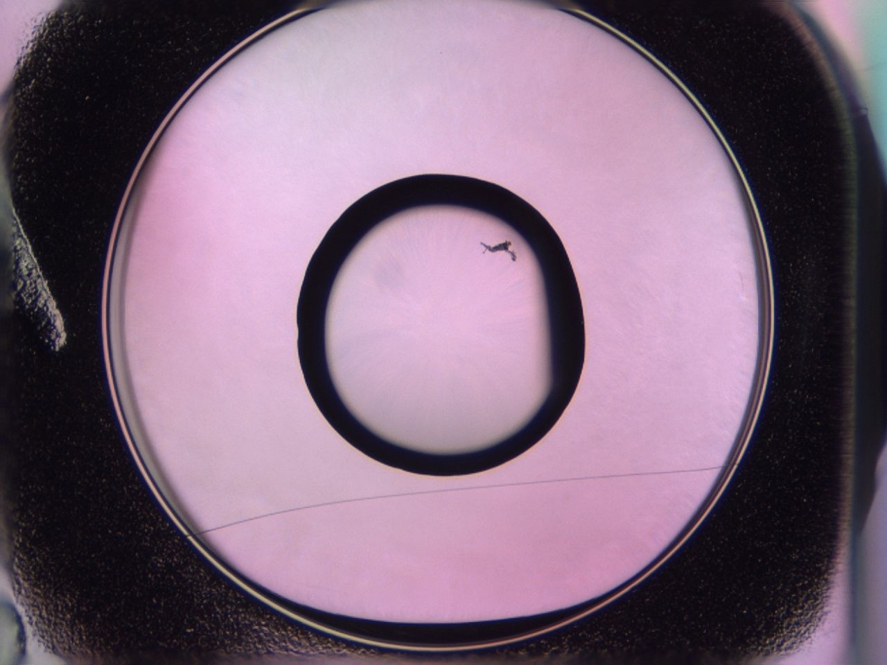 0170_A2_ImagerDefaults_0.jpg