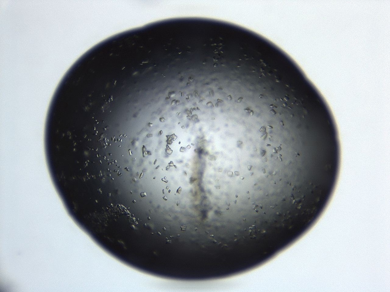 04en_C1_ImagerDefaults_8.jpg