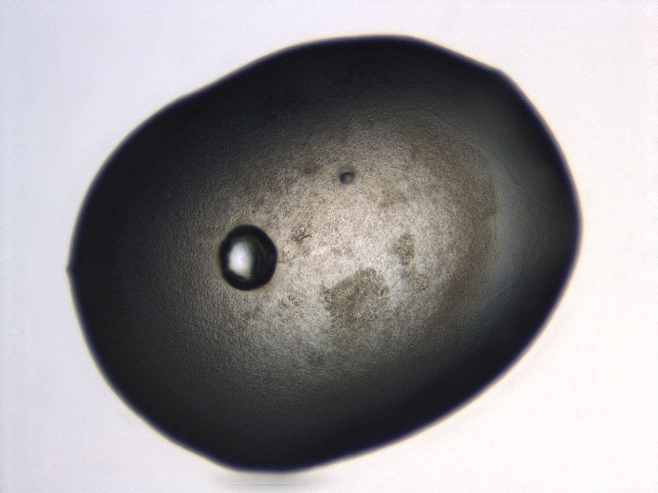 04en_C2_ImagerDefaults_3.jpg