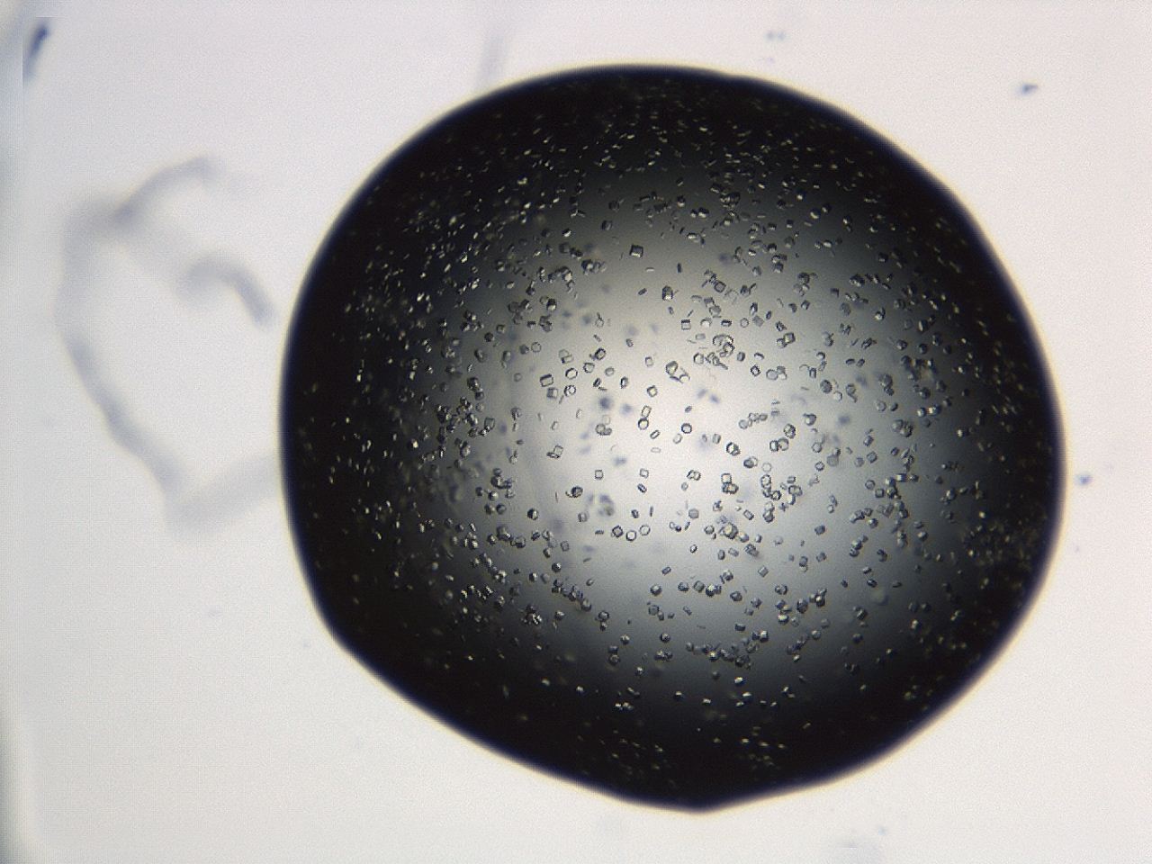 04en_C3_ImagerDefaults_8.jpg