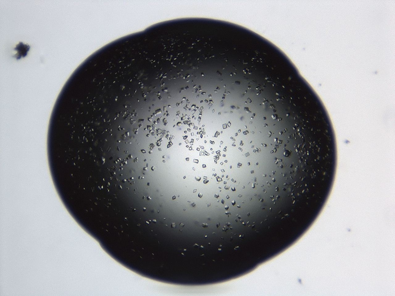 04en_C4_ImagerDefaults_8.jpg