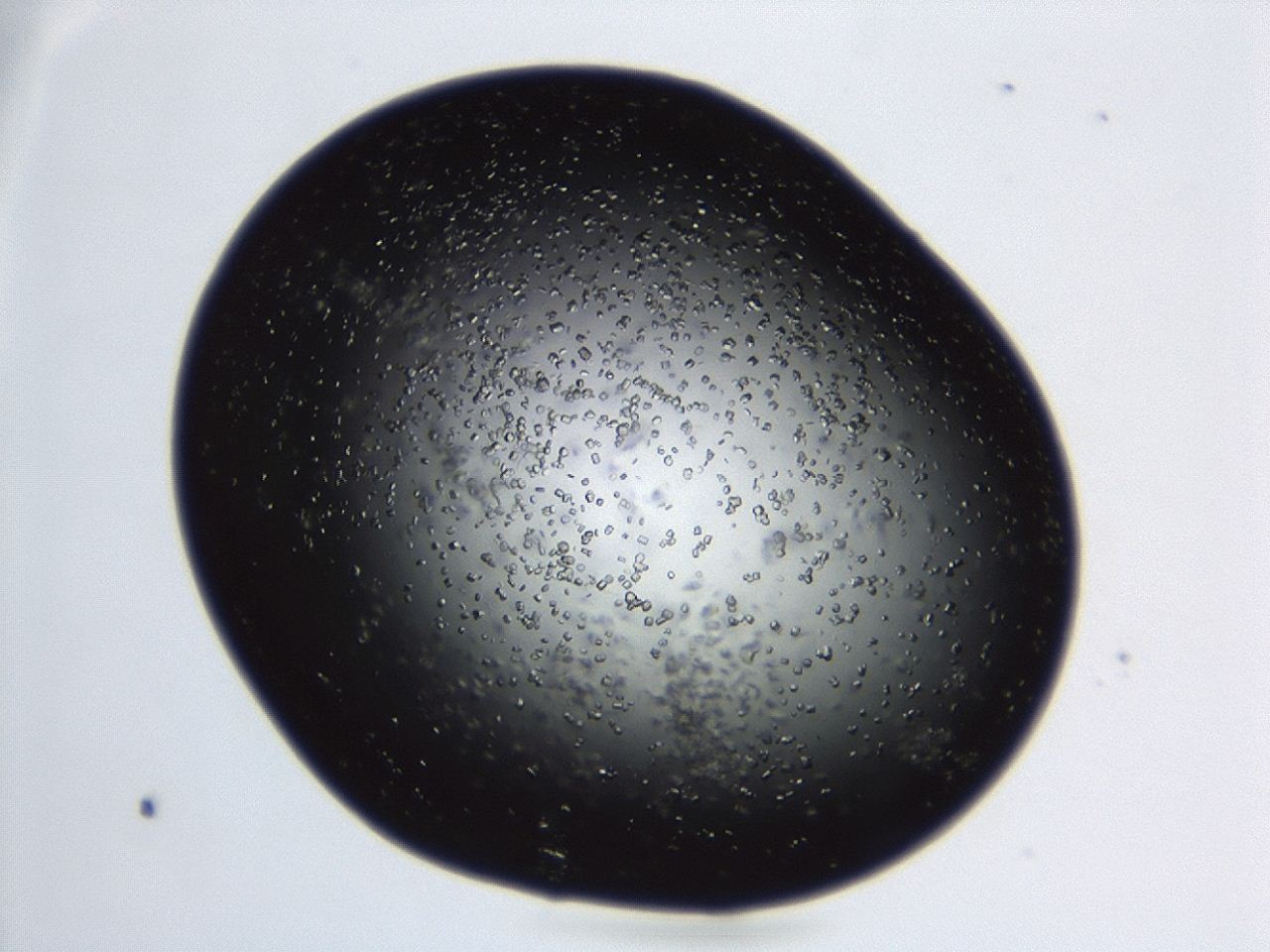 04en_C5_ImagerDefaults_8.jpg