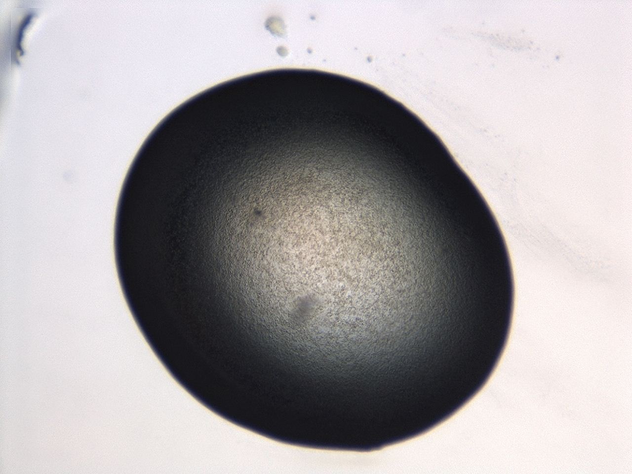 04en_C6_ImagerDefaults_3.jpg