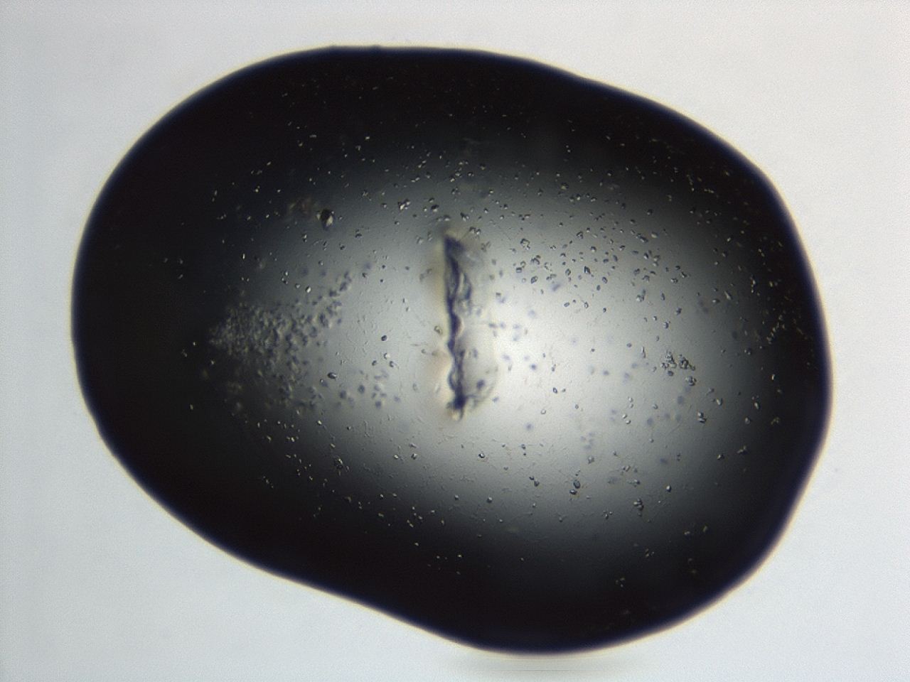 04en_C7_ImagerDefaults_8.jpg