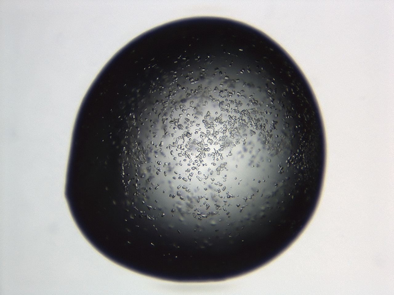 04en_C8_ImagerDefaults_8.jpg