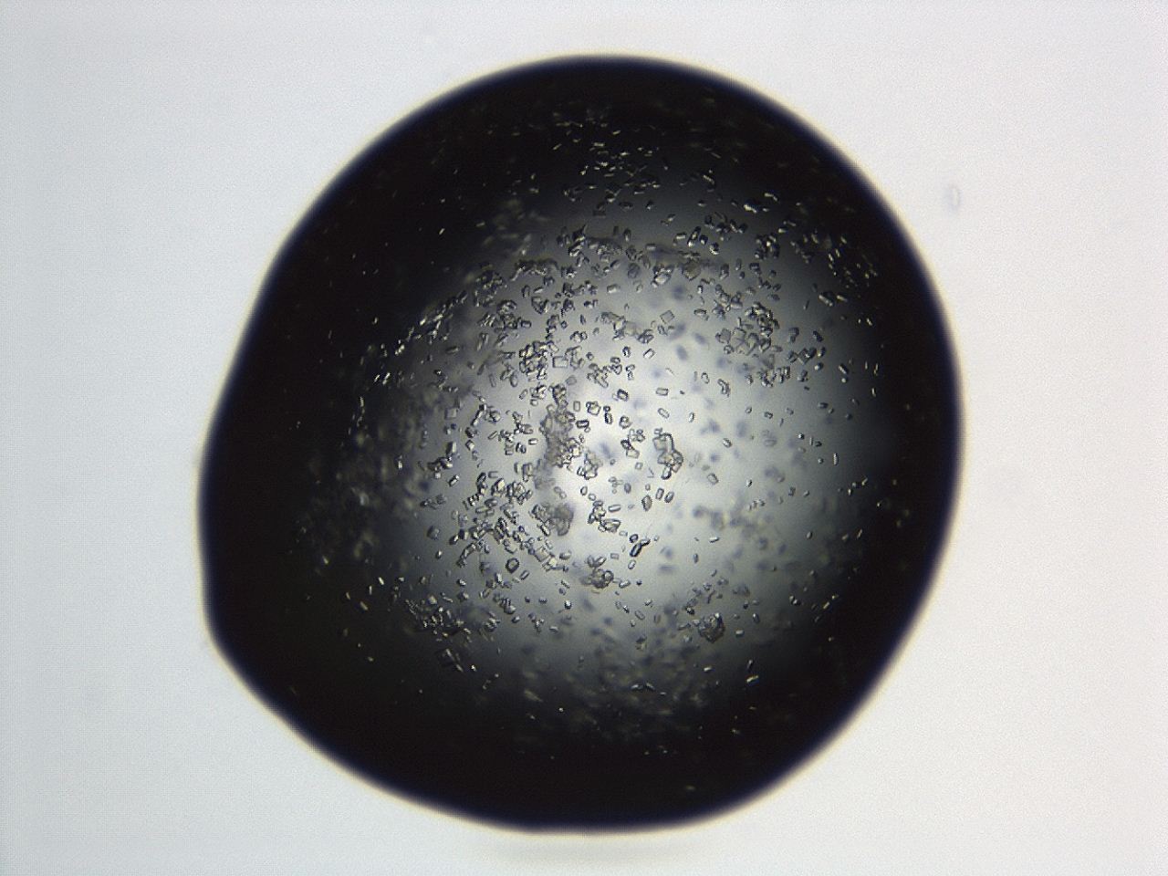 04en_C9_ImagerDefaults_8.jpg