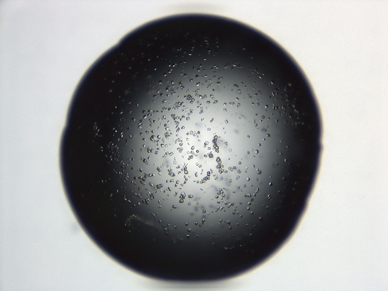 04en_C11_ImagerDefaults_8.jpg