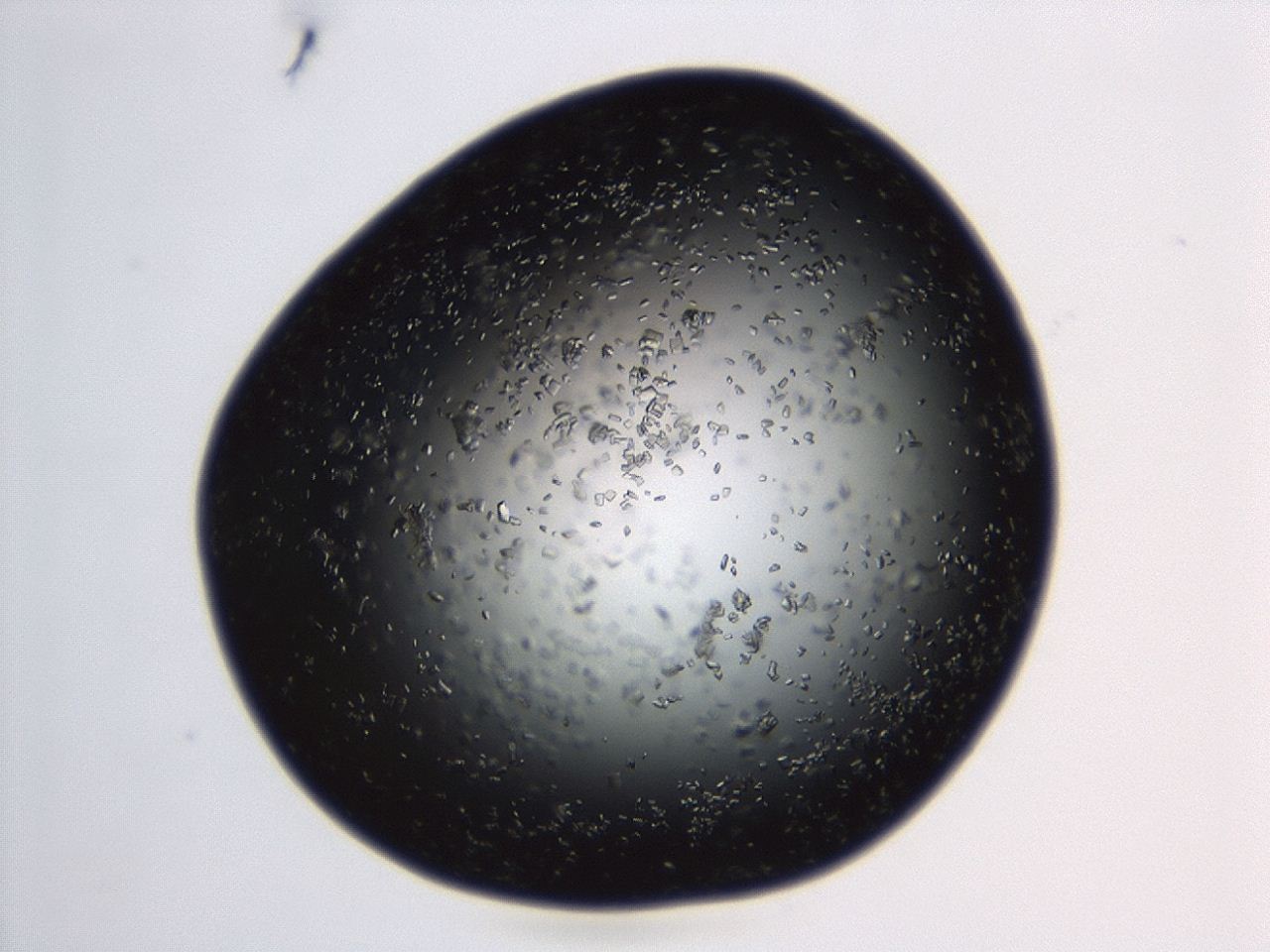 04en_D2_ImagerDefaults_8.jpg