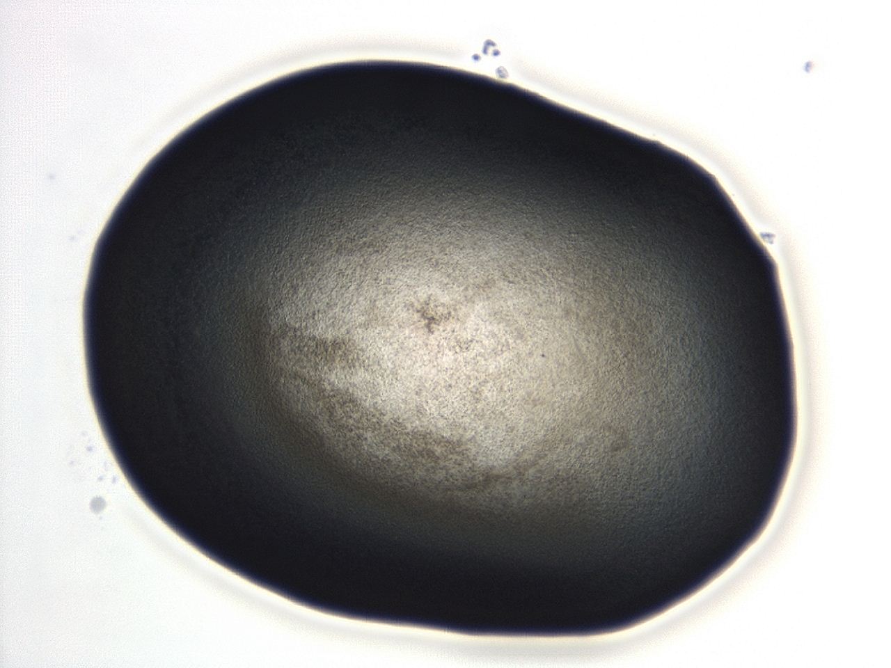 04en_D3_ImagerDefaults_3.jpg