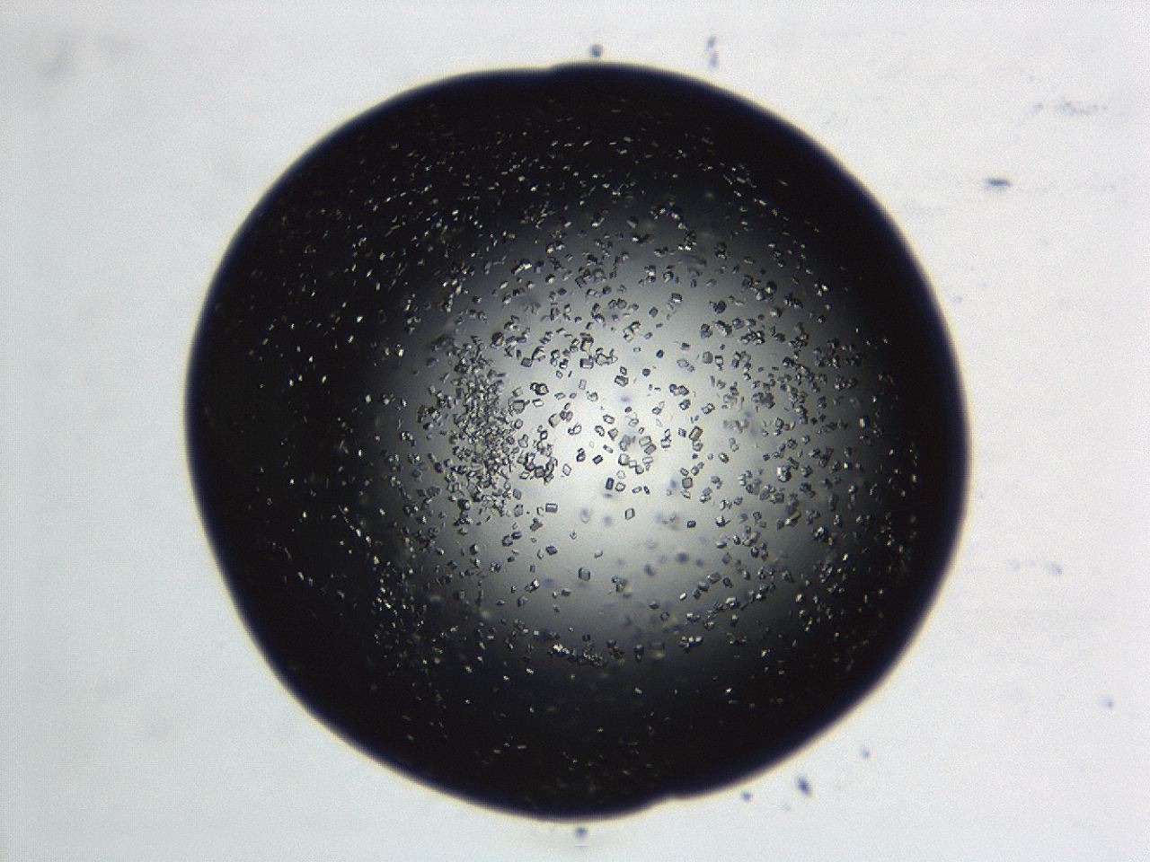 04en_D4_ImagerDefaults_8.jpg
