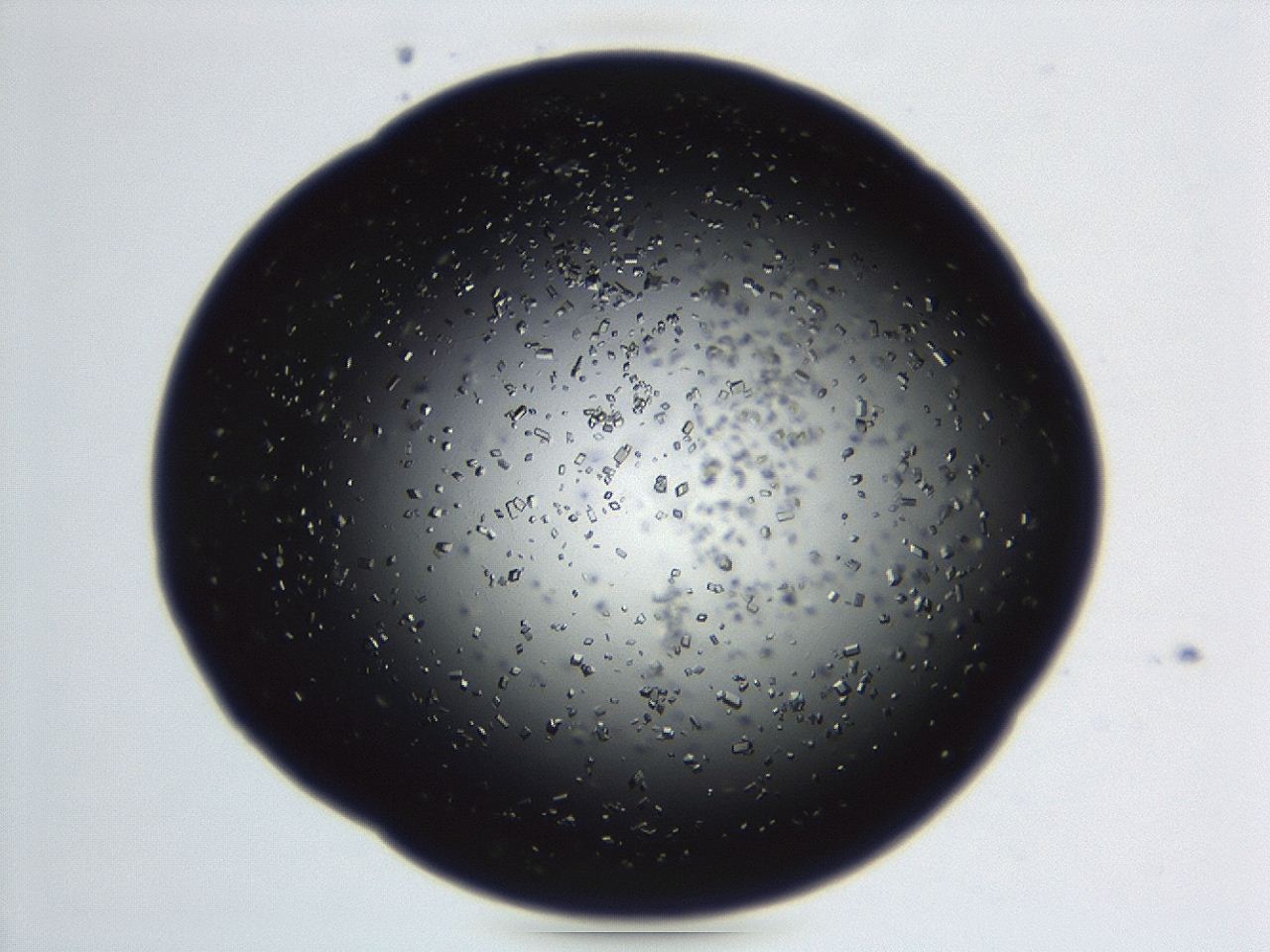 04en_D5_ImagerDefaults_8.jpg