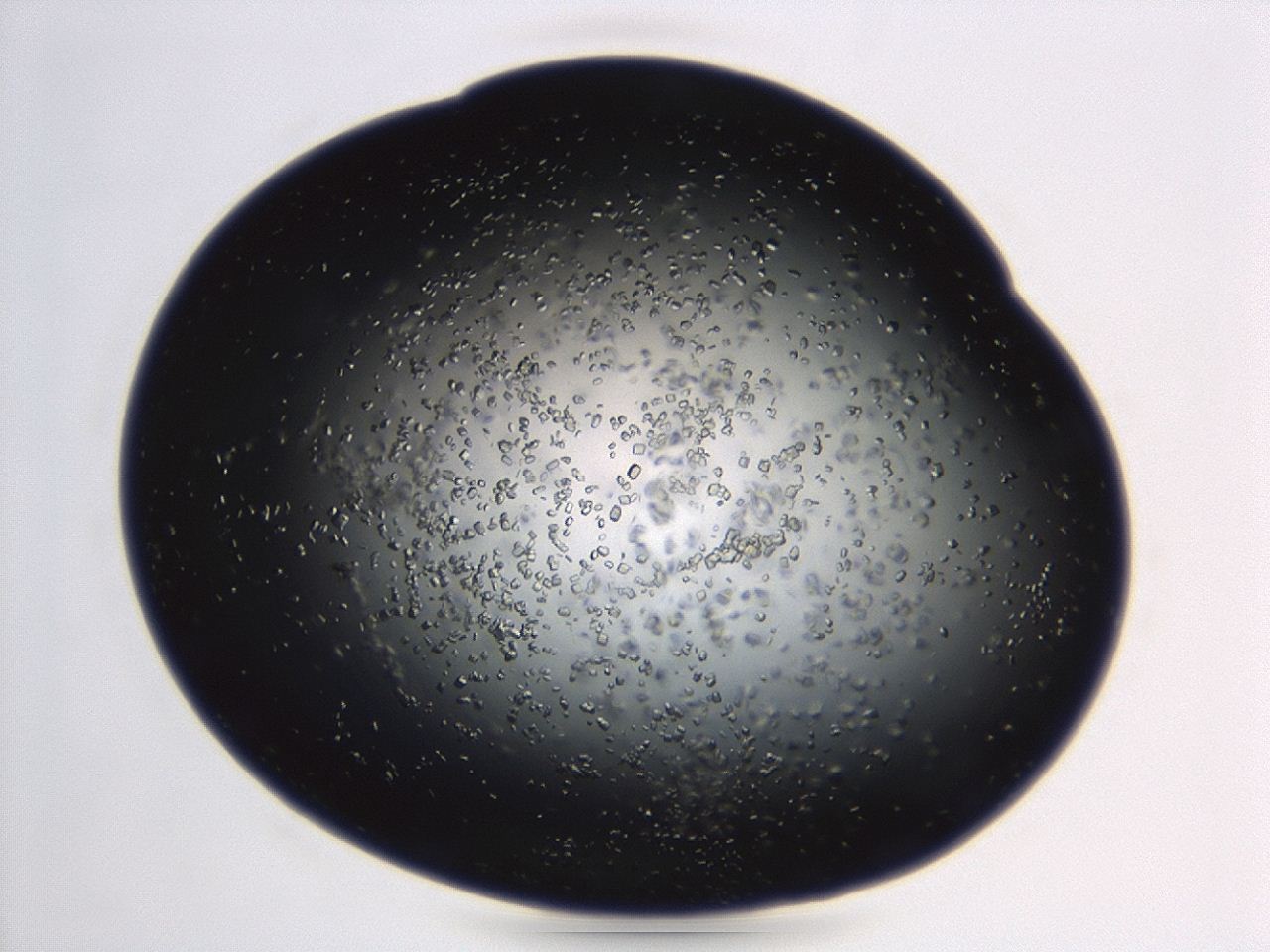 04en_D6_ImagerDefaults_8.jpg