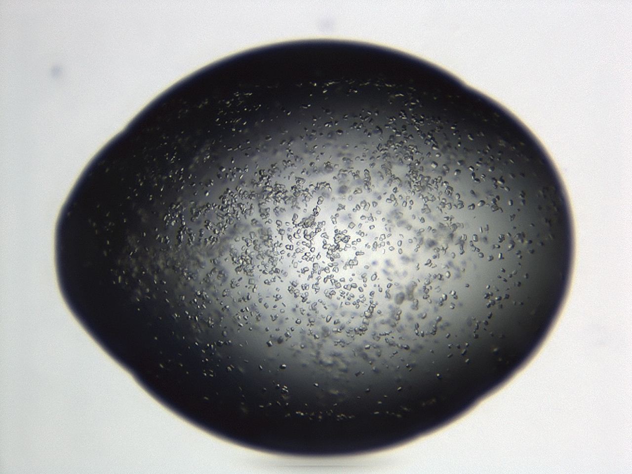 04en_D8_ImagerDefaults_8.jpg