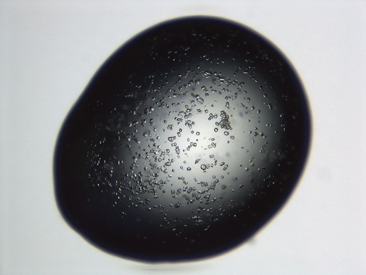 04en_D9_ImagerDefaults_8.jpg