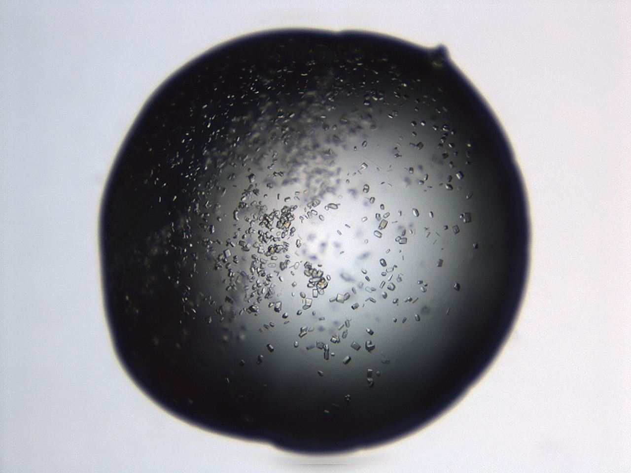 04en_D10_ImagerDefaults_8.jpg