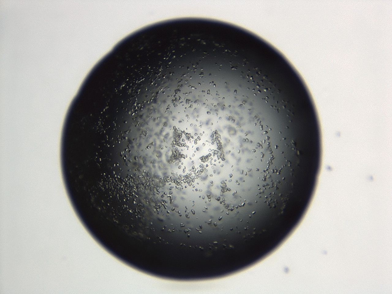 04en_D11_ImagerDefaults_8.jpg