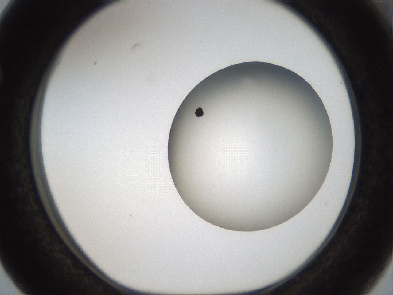 folderID963_plateID1963_batchID8609_wellNum63_profileID1_d1_r132882_ef.jpg