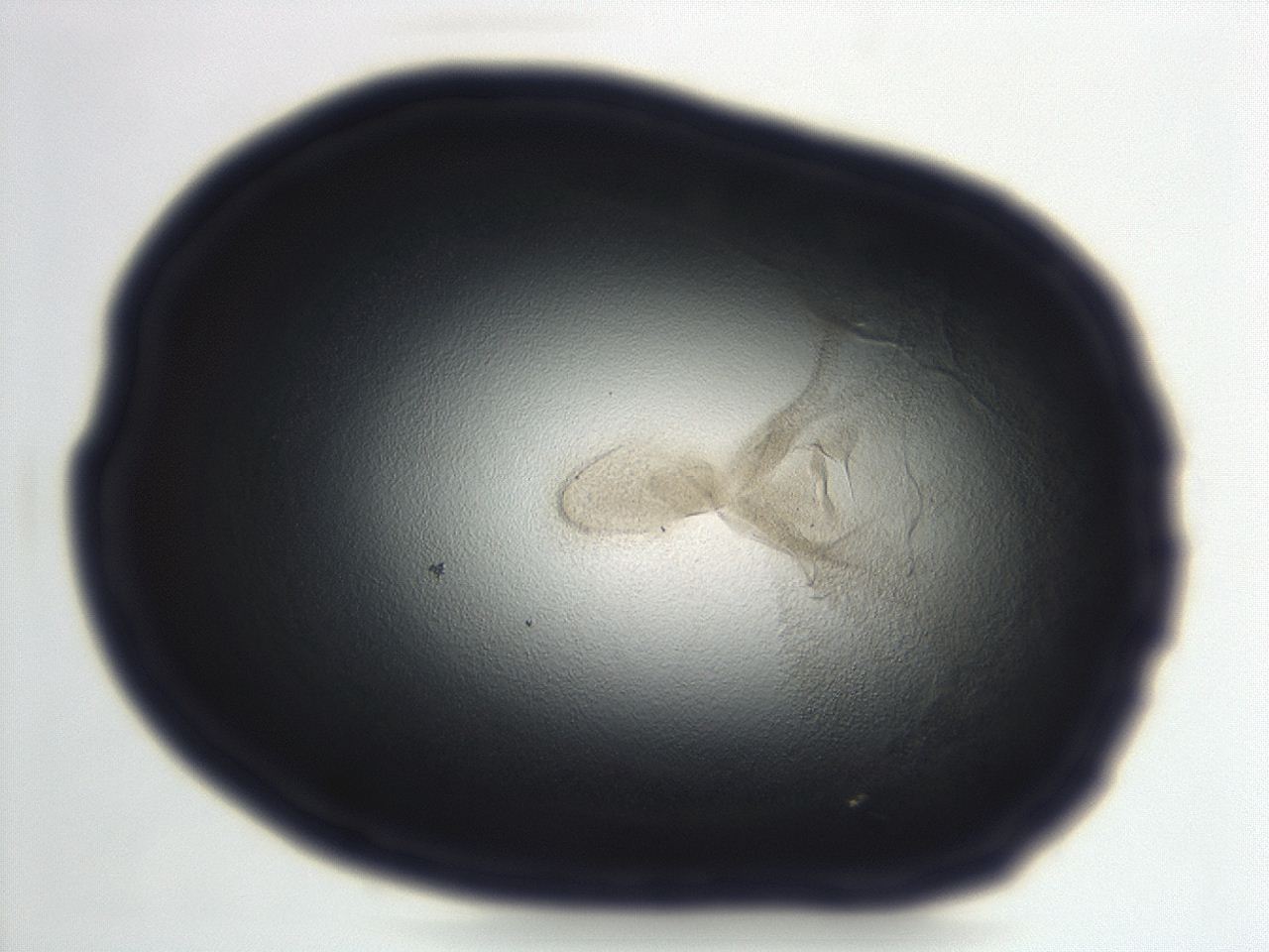 04en_D12_ImagerDefaults_3.jpg
