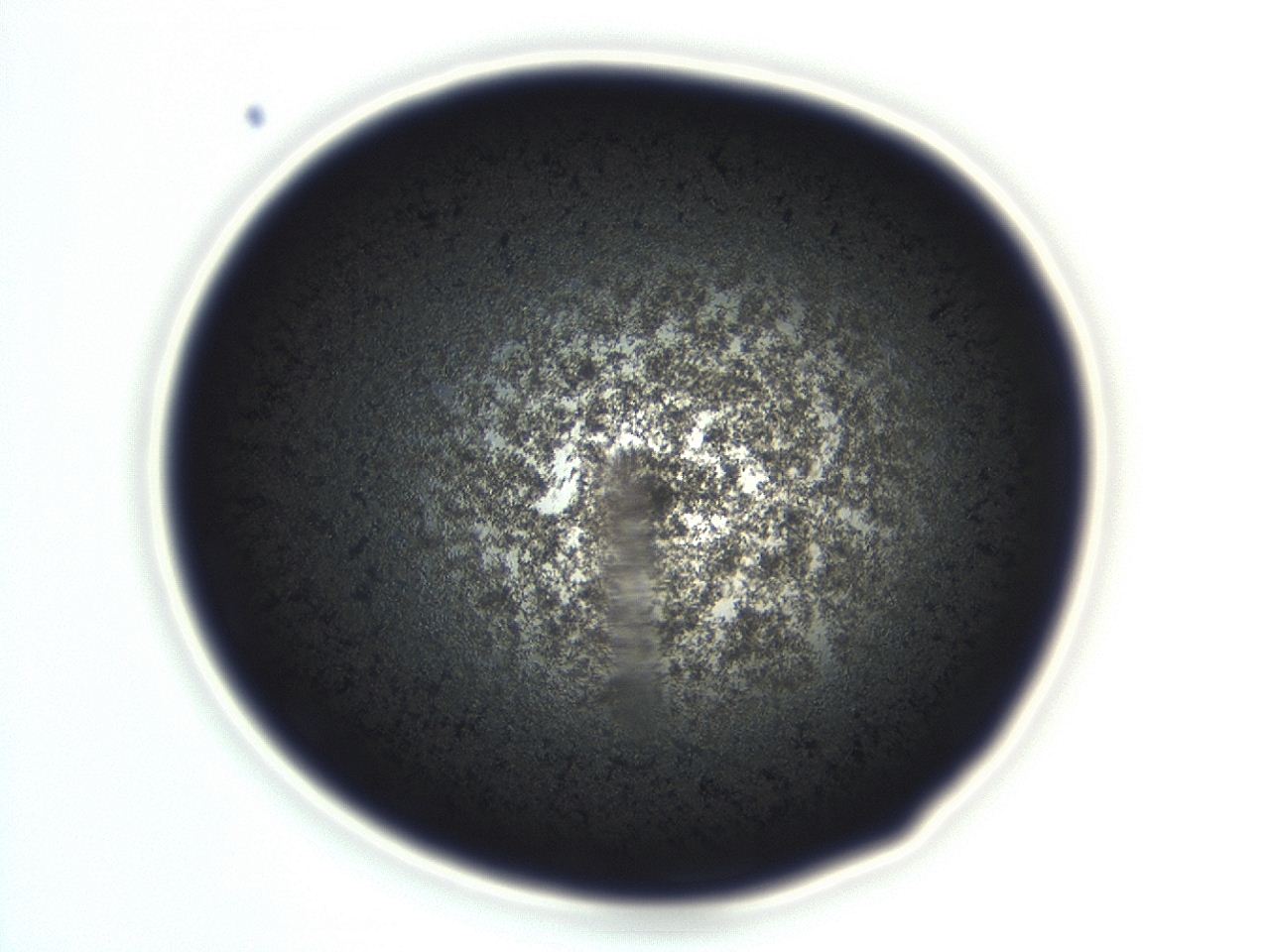 04en_E1_ImagerDefaults_3.jpg