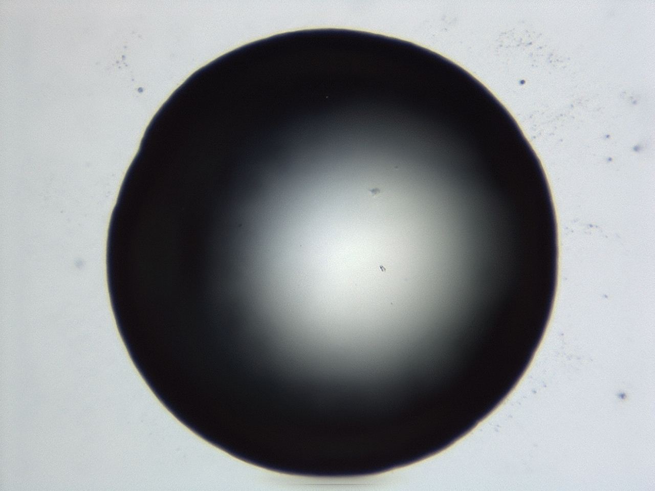 04en_E5_ImagerDefaults_0.jpg