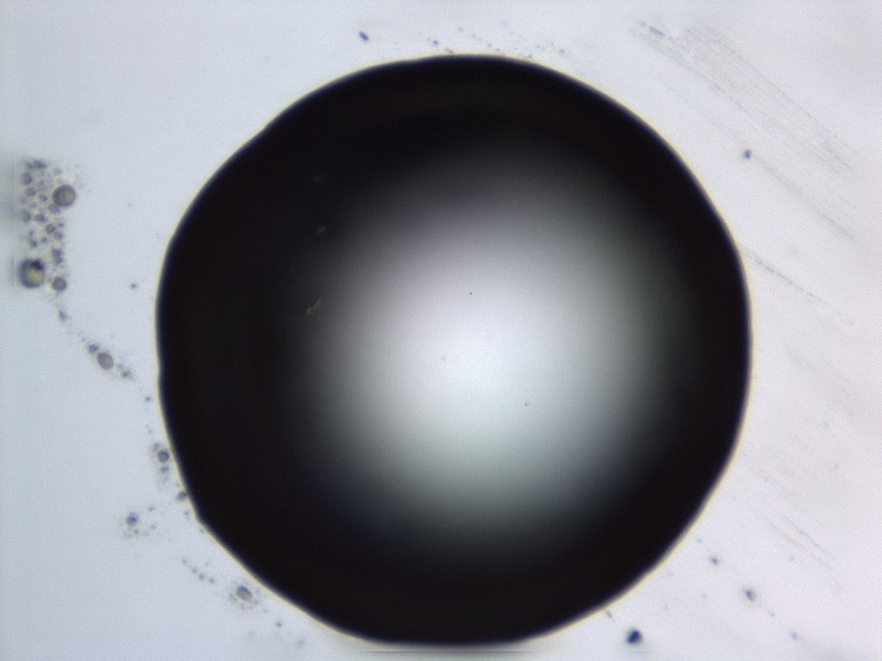 04en_E6_ImagerDefaults_0.jpg