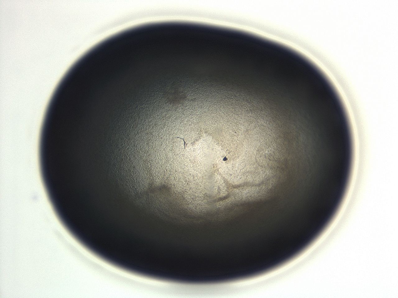 04en_F1_ImagerDefaults_3.jpg
