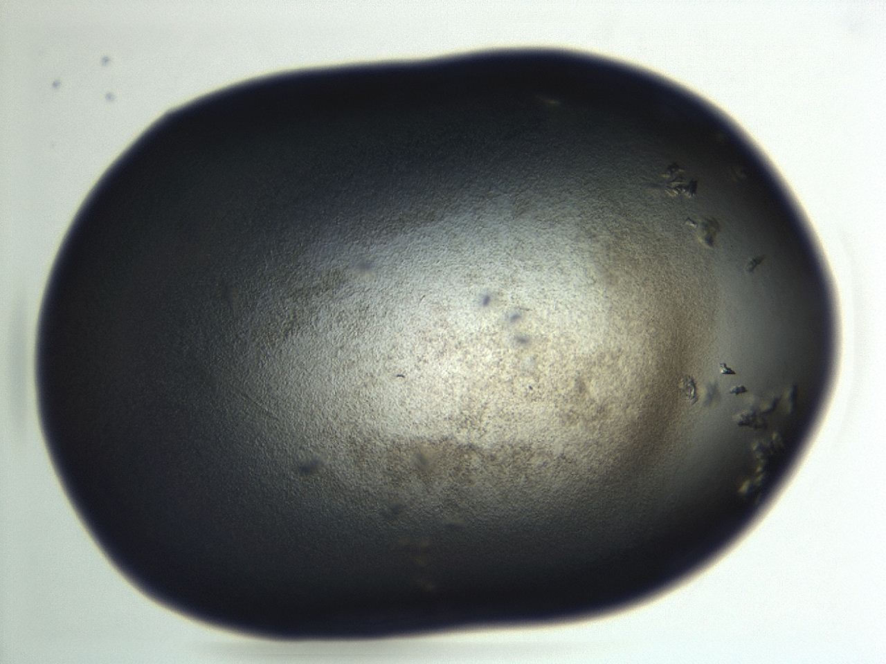 04en_F2_ImagerDefaults_3.jpg